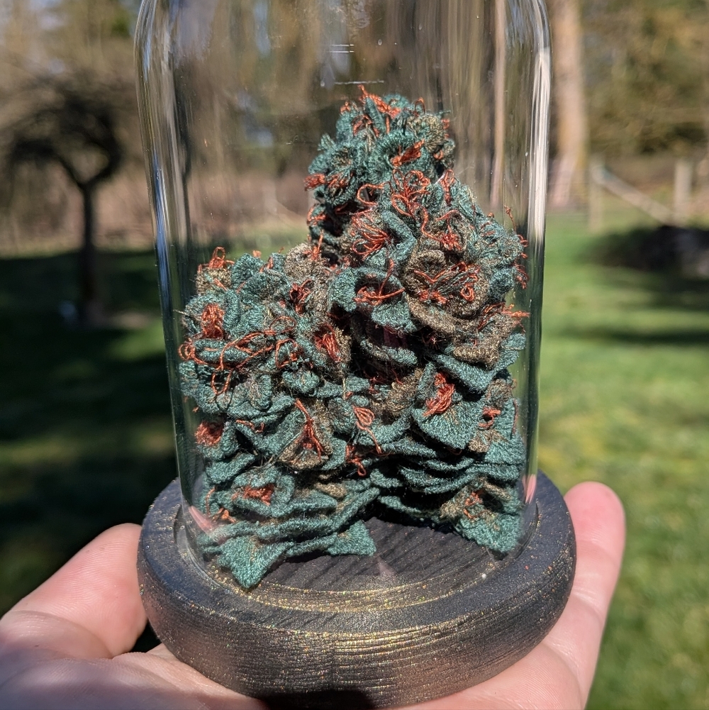 Meet your Posher, Your